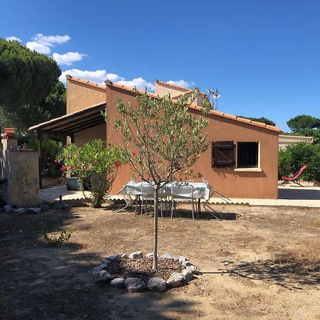 Charmante Maison Dans Les Pins Proche De La Plage Villa Saint-Cyprien  Bagian luar foto